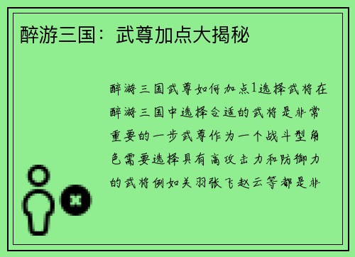 醉游三国：武尊加点大揭秘